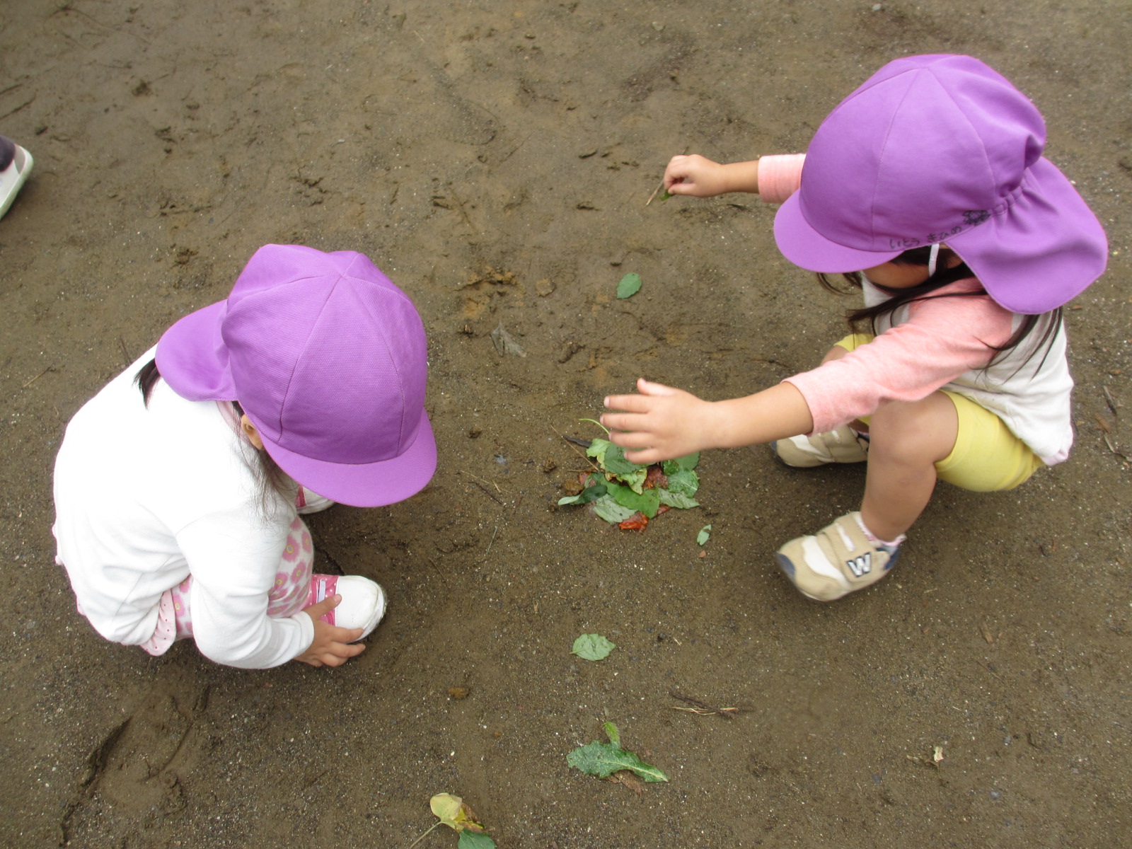 秋のお庭遊び２ 1歳児さん 5歳児さん 青梅梨の木保育園のホームページ