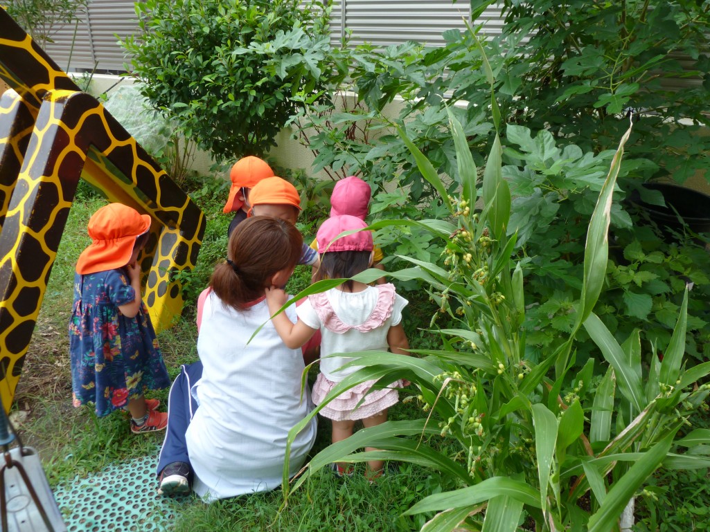 １ 2歳児さんのお庭遊び 青梅梨の木保育園のホームページ